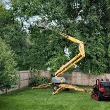 Lawn Irrigation Installation and Maintenance in Shawnee, OK