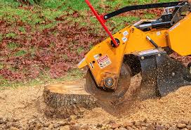 Tree and Shrub Care in Shawnee, OK