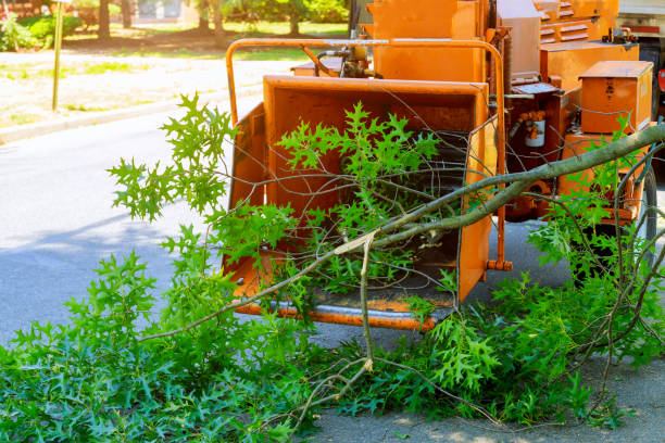 Lawn Watering Services in Shawnee, OK