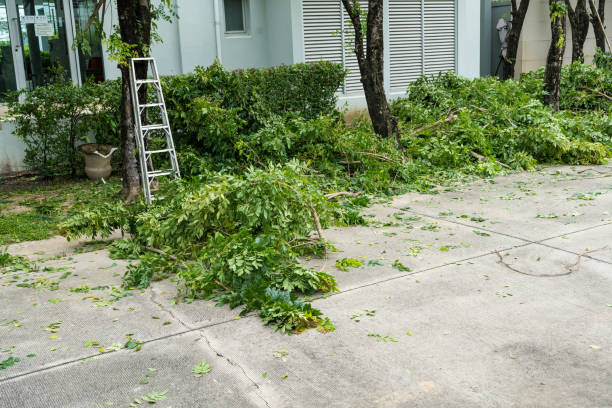 Best Hazardous Tree Removal  in Shawnee, OK