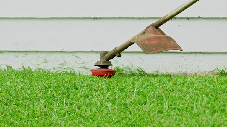 Best Lawn Renovation and Restoration  in Shawnee, OK